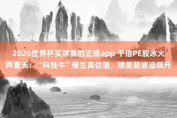 2026世界杯买球赛的正规app 千倍PE股冰火两重天：“科技牛”催生高估值，绩差股被迫飙升