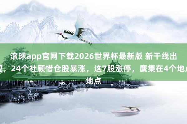 滚球app官网下载2026世界杯最新版 新干线出现，24个社顾惜仓股暴涨，这7股涨停，麇集在4个地点