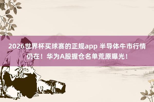 2026世界杯买球赛的正规app 半导体牛市行情仍在！华为A股握仓名单荒原曝光！
