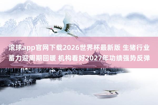 滚球app官网下载2026世界杯最新版 生猪行业蓄力迎周期回暖 机构看好2027年功绩强势反弹