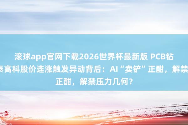 滚球app官网下载2026世界杯最新版 PCB钻针龙头鼎泰高科股价连涨触发异动背后：AI“卖铲”正酣，解禁压力几何？