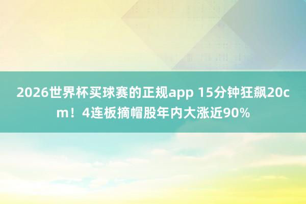 2026世界杯买球赛的正规app 15分钟狂飙20cm！4连板摘帽股年内大涨近90%