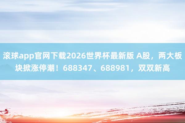 滚球app官网下载2026世界杯最新版 A股，两大板块掀涨停潮！688347、688981，双双新高