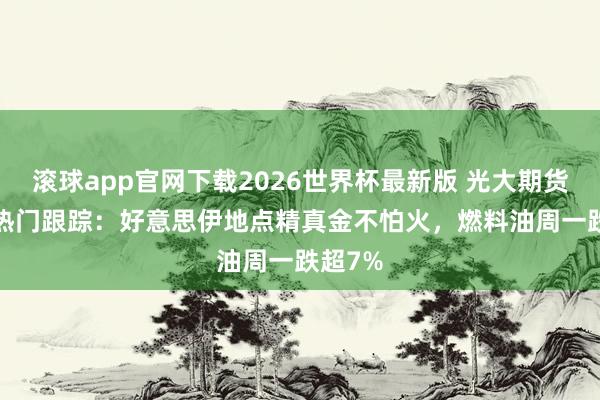 滚球app官网下载2026世界杯最新版 光大期货0525热门跟踪：好意思伊地点精真金不怕火，燃料油周一跌超7%