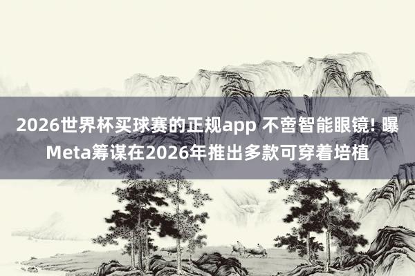 2026世界杯买球赛的正规app 不啻智能眼镜! 曝Me