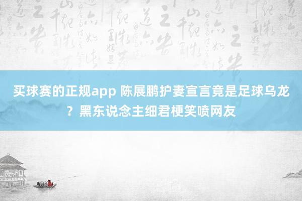 买球赛的正规app 陈展鹏护妻宣言竟是足球乌龙？黑东说念主细君梗笑喷网友