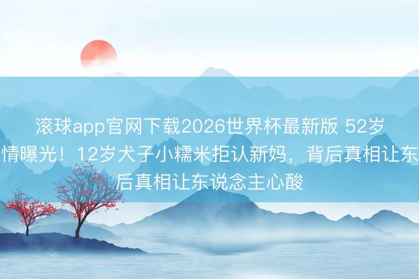 滚球app官网下载2026世界杯最新版 52岁刘恺威新恋情曝光！12岁犬子小糯米拒认新妈，背后真相让东说念主心酸