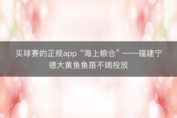 买球赛的正规app “海上粮仓” ——福建宁德大黄鱼鱼苗不竭投放