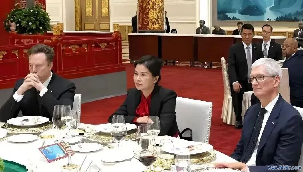 手机玻璃女王。
