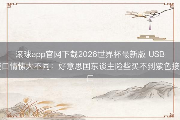 滚球app官网下载2026世界杯最新版 USB接口情愫大不同：好意思国东谈主险些买不到紫色接口