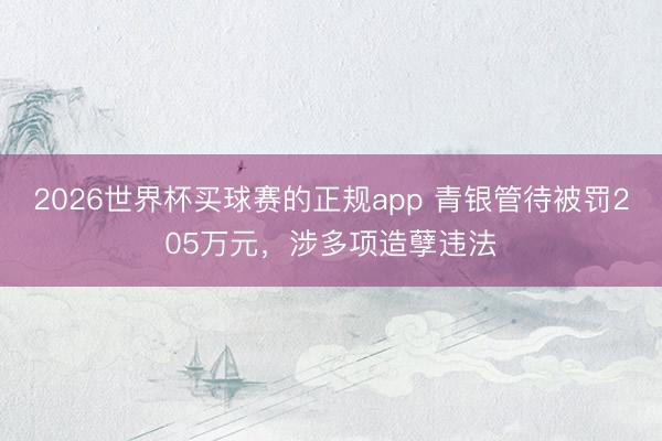 2026世界杯买球赛的正规app 青银管待被罚205万元，涉多项造孽违法