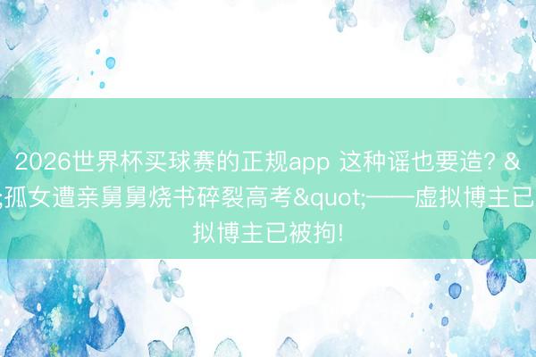 2026世界杯买球赛的正规app 这种谣也要造? "孤女遭亲舅舅烧书碎裂高考"——虚拟博主已被拘!